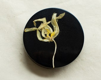 Wall hook with real dried Tulip flower on black background, Wall decor