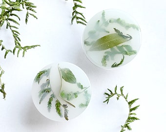 Abstract white cabinet knobs with different green plants