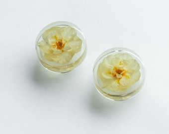 Real Narcissus / Daffodil Bridal Crown blossoms in golden / yellowish cabinet knobs