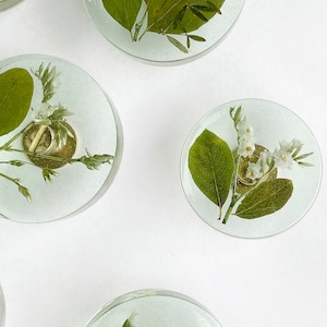 Green furniture knobs with real plants and flowers image 4