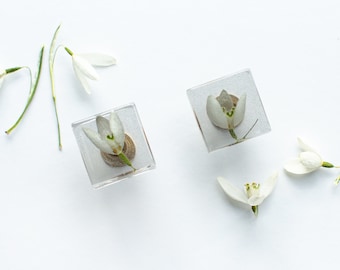Lot de 2 - Fleurs de perce-neige en cubes verts, boutons de table de chevet, décoration d'intérieur, poignée de meuble, cadeau de pendaison de crémaillère, unique