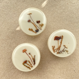 Real mushroom beige furniture knob