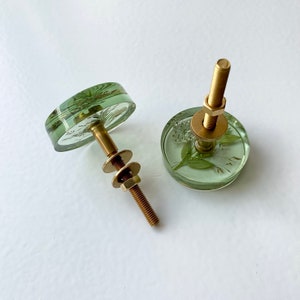 Green furniture knobs with real plants and flowers image 3