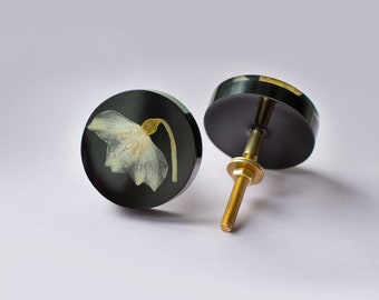 Real white spring flowers in black furniture knob  - Leucojum