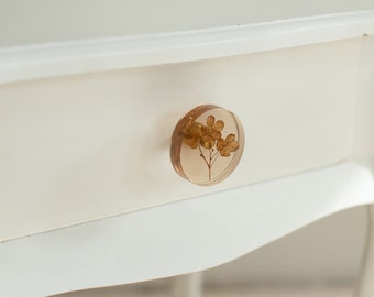 Real dried brown hydrangeas flower in see-through brown furniture knob