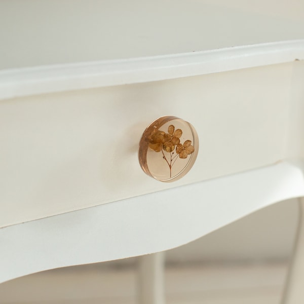 Real dried brown hydrangeas flower in see-through brown furniture knob