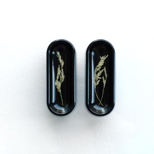 Könnte beinhalten: Zwei schwarze Harzohrringe mit gepresstem getrocknetem Gras darin. Die Ohrringe sind oval geformt und haben eine glänzende Oberfläche.