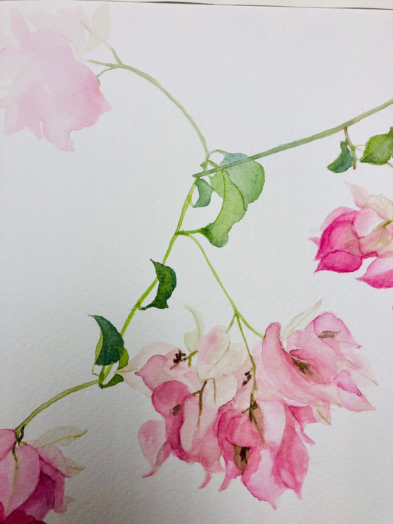 My Bougainvillea Watercolor Painting Original Botanical Etsy