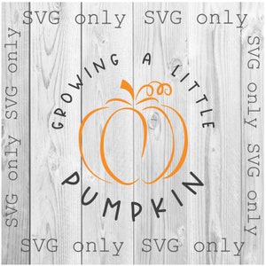 Growing a Little Pumpkin Svg, Fall Pregnancy Svg, Pregnancy Announcement, Baby Due Maternity Svg, Mom To Be, Fall Pregnancy Svg, Svg Only