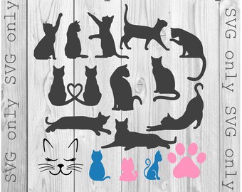 Katt Svg, Katter Svg, Tass Svg, Katttass Svg, Kattsilhuett Svg, Kattmamma SVG, Pawsitive Svg, Kattälskare Svg, Kattunge Svg, Kattkontur Svg, Endast Svg