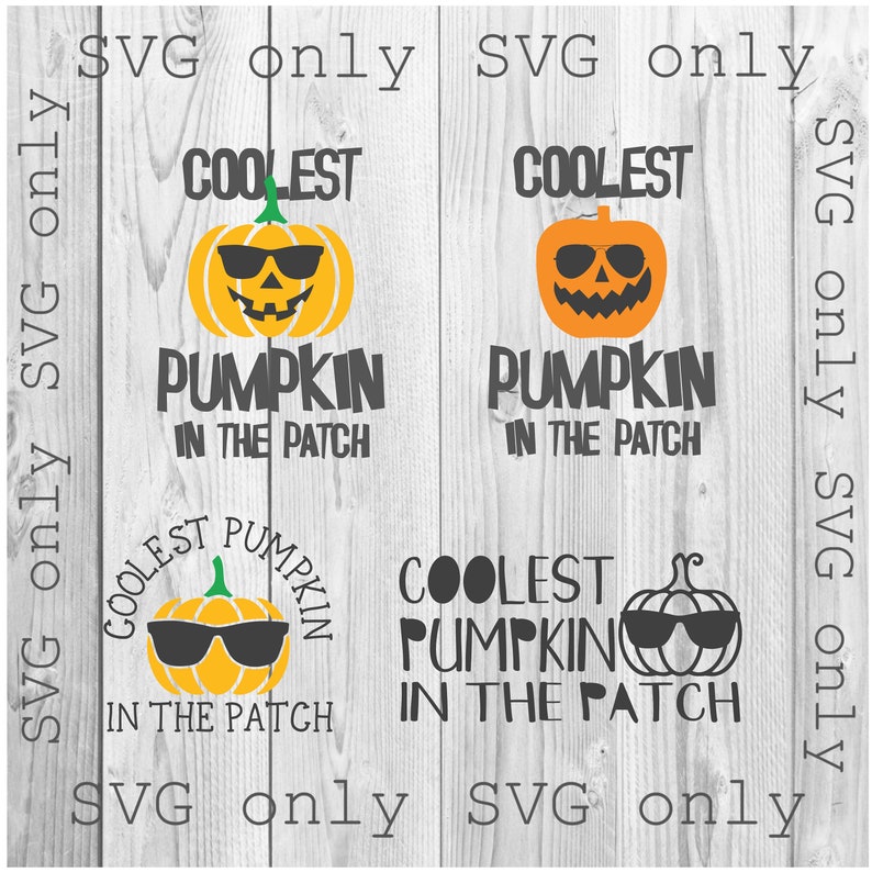 May include: Four different designs of a pumpkin wearing sunglasses with the text "Coolest Pumpkin in the Patch".