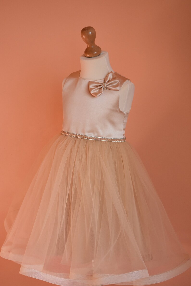 champagne tutu flower girl dresses