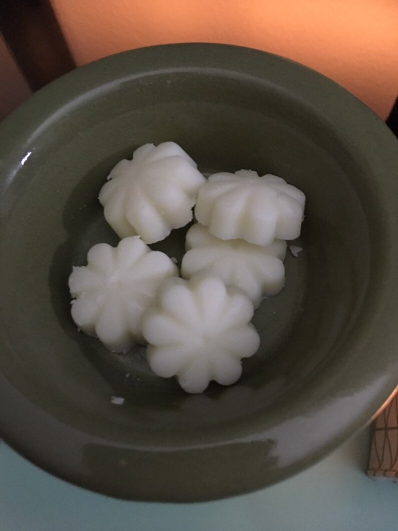 Cupcake or Flower Melts Cherry Pomegranate 100/% Wax Melts ~ No Dye Added ~ Vegan ~ 10 Seashell