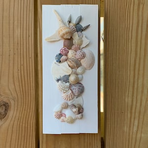 Seashell Seahorse