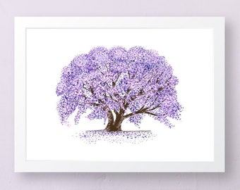 jacaranda tree florida nursery