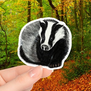 Sticker blaireau Créatures des bois Faune noir et blanc Animal Nature à fourrure Stickers illustrés mignons