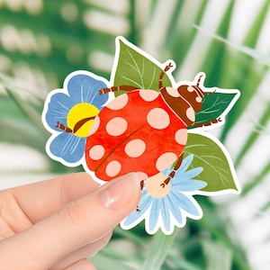 Adesivo coccinella Simpatici fiori di coccinella foglie insetti insetti della natura