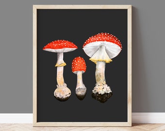 Mushroom Art Print, Fly Agaric Botanical Wall Art, Fungi Illustration, Gallery Wall Decor for Nature Lovers