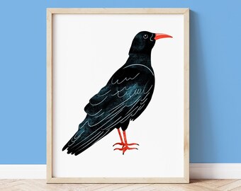 Cornish Chough Print, Cornwall Print, Cornish Chough Illustration, Chough Bird Art Print, Cornwall Art Prints, Cornish Gifts, Home Decor