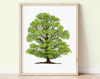 Elm Tree Botanical Home Decor Print - Tree Art Print - Tree Wall Art Nature Decor