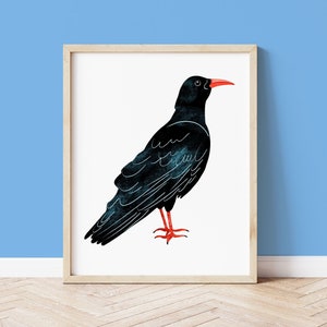 May include: A framed print of a black bird with a red beak and legs on a white background.
