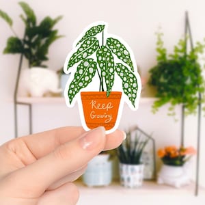 Sticker plante à pois en vinyle - Sticker bégonia maculata - Stickers plante d'intérieur - Continuer à grandir - Cadeau pour amateur de plantes