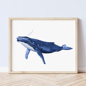 Cornish Humpback Whale Art Print, Whale Print, Whale Wall Art, Ocean Wall Art Prints, Coastal Wall Art, Whales, Blue Whale