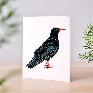 Cornish Chough Greeting Card, Cornwall, Birthday Card, Thank You, Bird Lovers, Blank Inside Card, Cornish Gift