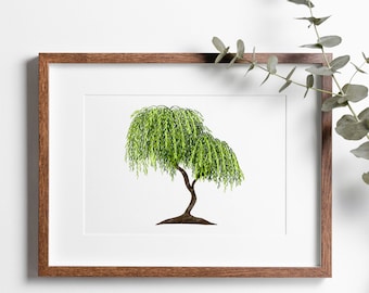 Weeping Willow Tree botanical art print for your home, Illustrated tree wall art for nature inspired home decor