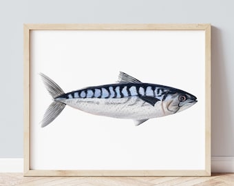 Cornish Mackerel Art Print, Cornwall Coastal Illustrated Wall Art, Coastal Wall Art Print, Cornwall Gifts, Cornwall Paintings