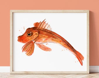 Cornish Gurnard Art Print, Cornwall Coastal Illustrated Wall Art, Coastal Wall Art Print, Cornwall Gifts, Cornwall Painting