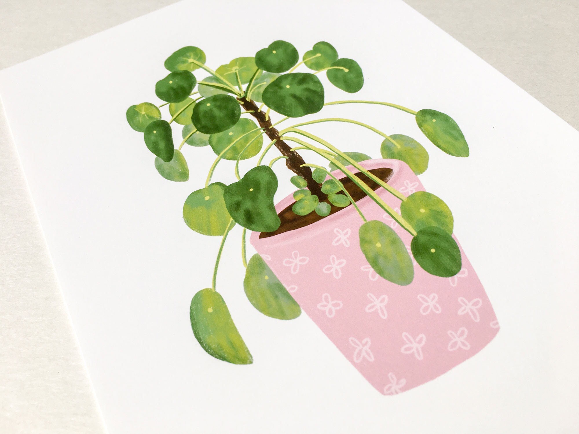 Chinese Money Plant Art Print | Houseplant Wall Art | Botanical Home ...