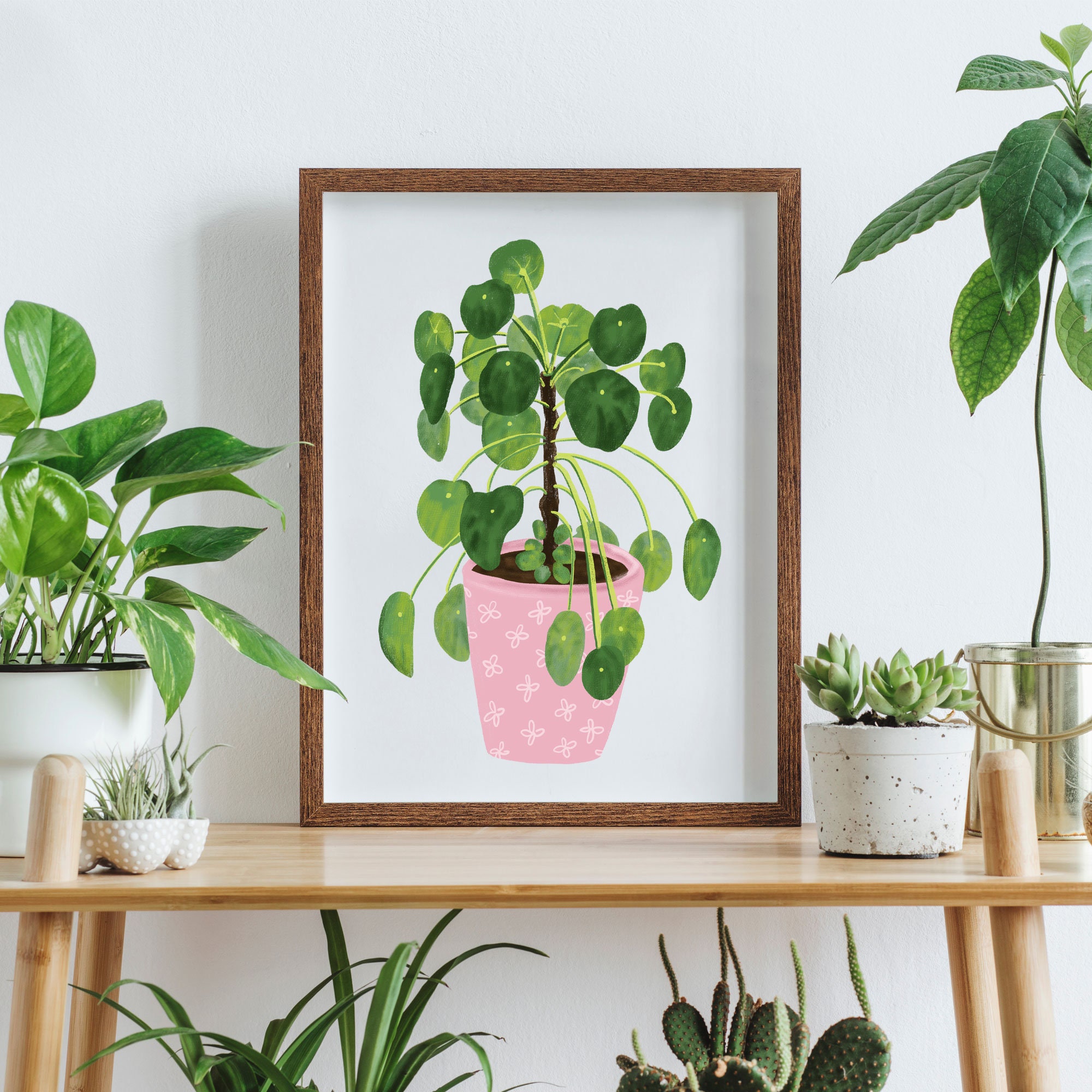 Chinese Money Plant Art Print | Houseplant Wall Art | Botanical Home ...