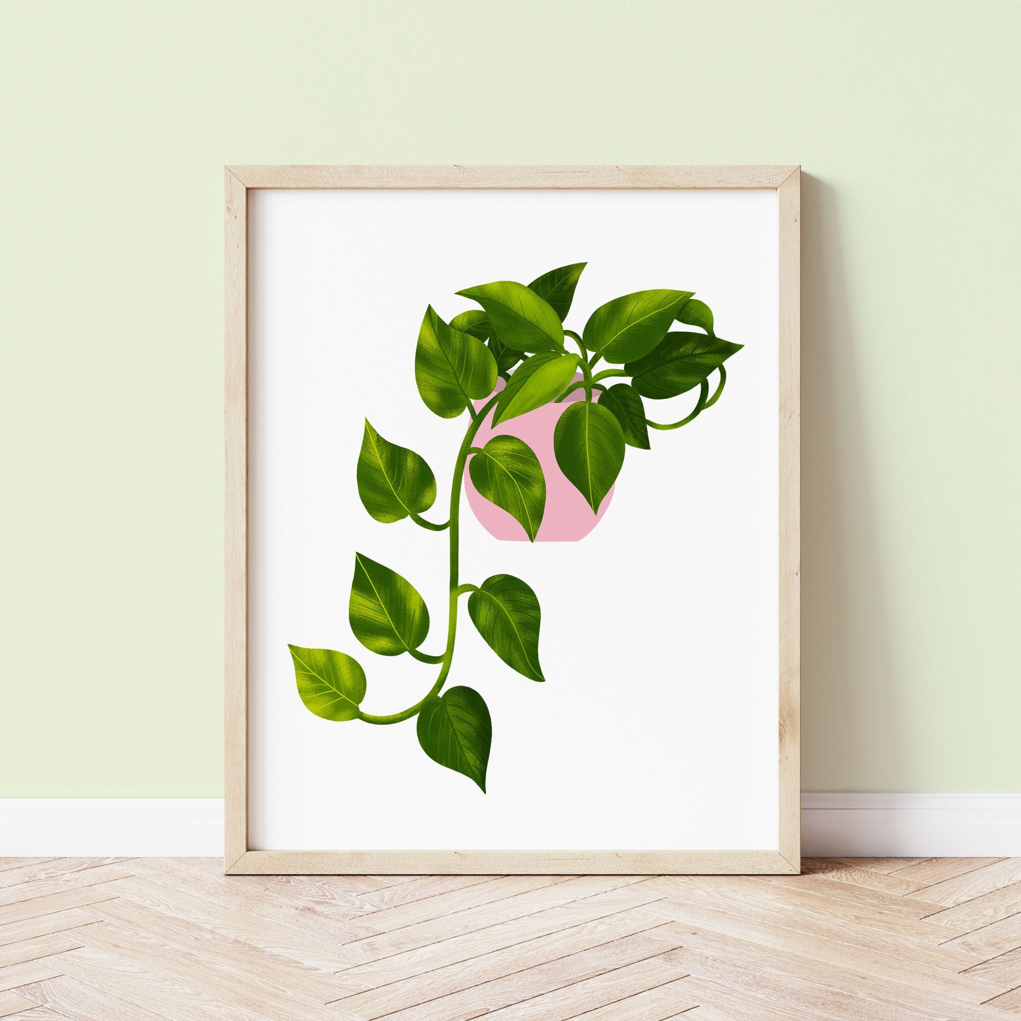 Pothos House Plant Art Print: Botanical Illustration, Plant Lover Gift -  Etsy UK