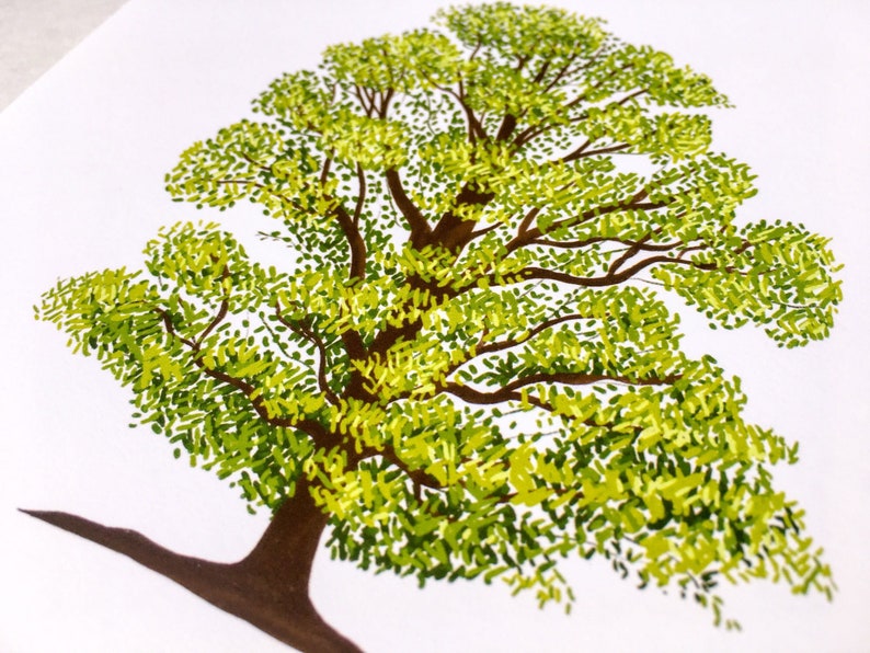 Elm Tree Botanical Home Decor Print Tree Art Print Tree - Etsy