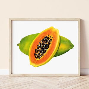 Papaya Kunstdruck | Obst Wohnkultur Wand Kunst | Obst Kunstdruck Küche Home Decor | Illustrierte Lebensmittel Kunstdruck Galeriewand