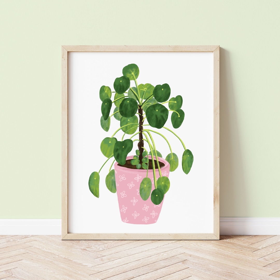 Chinese Money Plant Art Print | Houseplant Wall Art | Botanical Home ...