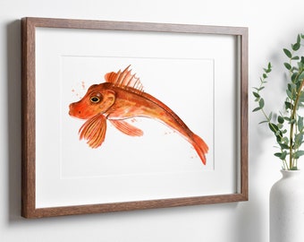 Cornish Gurnard Fish Art Print, Coastal Gallery Wall Home Decor