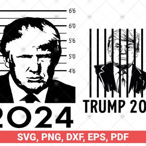 Trump Mugshot 2024 svg, Trump MugShot Png, Trump Not Guilty SVG, I Stand With Donald Trump