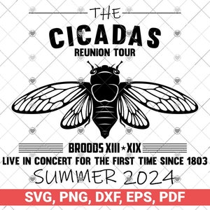 Great Cicada Come Back Tour 2024 Cicada Invasion 2024 svg, The Cicadas Reunion Tour zomer 2024 SVG, natuurliefhebber SVG-cadeau, zomertour 2024