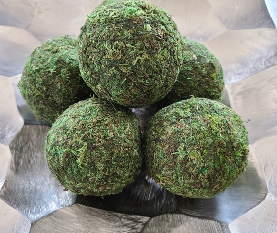 Buy Moss Balls Decorative Natural Moss Ball 4 Moss Online in India