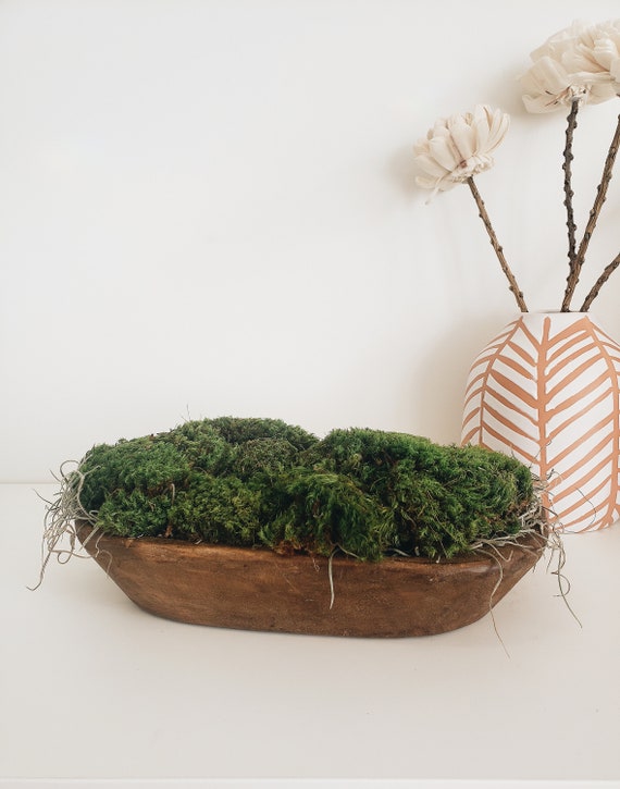 Moss Centerpiece Dough Bowl Preserved Moss Planter Decorative Mood