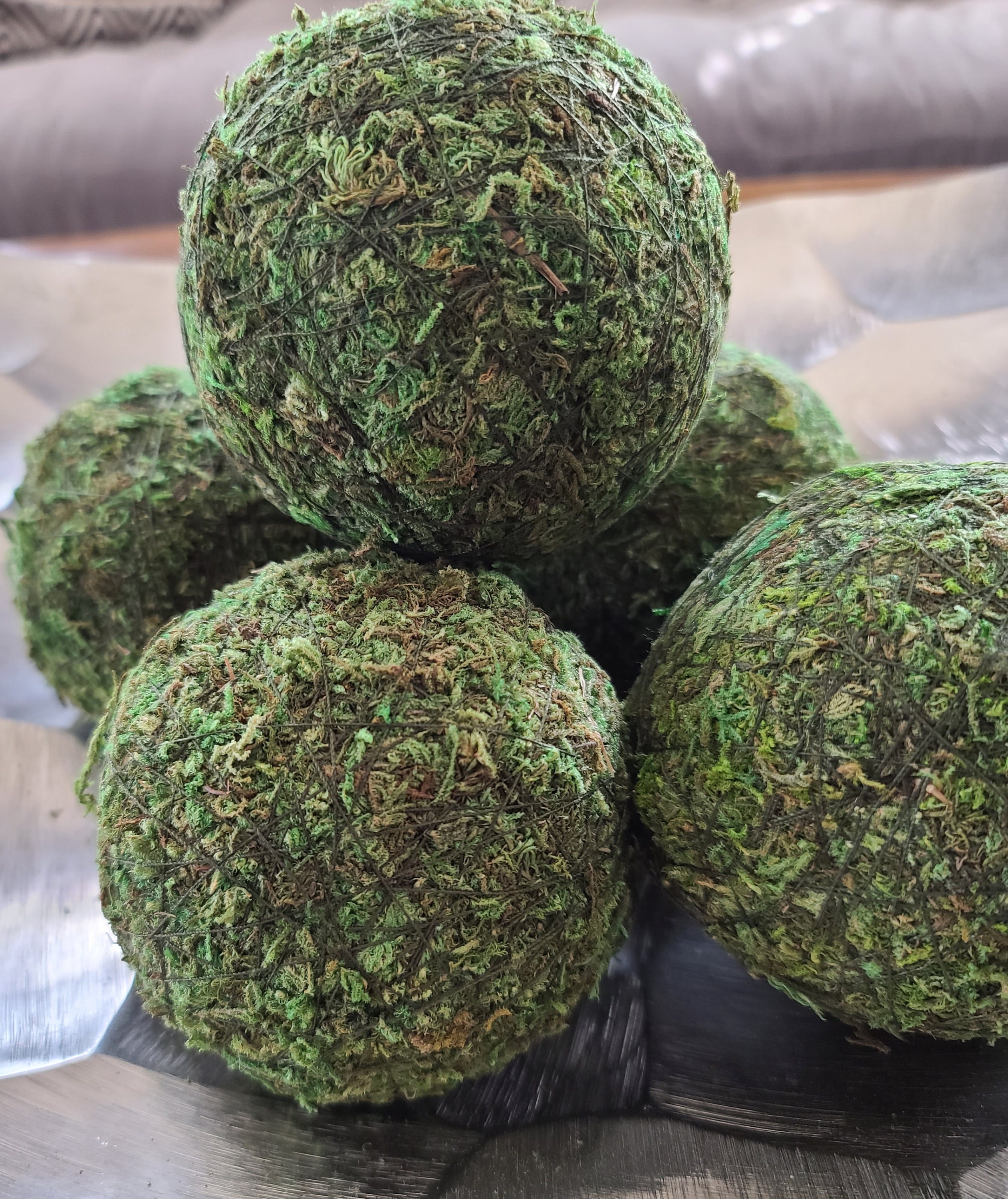 Moss Balls Decorative Natural Moss Ball 4 Moss Etsy Australia