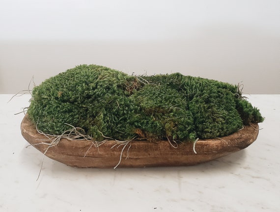 Moss Centerpiece Dough Bowl Preserved Moss Planter Decorative Mood Moss Bowl  