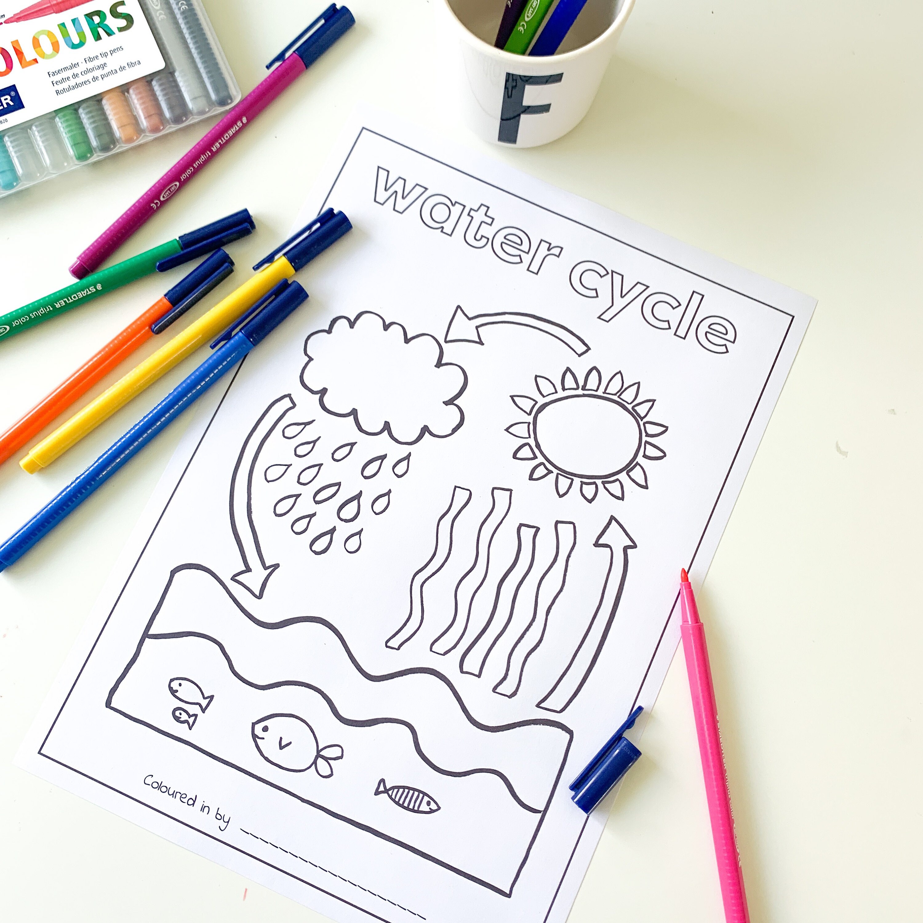 Downloadable Water Cycle Printable Educational Printable | Etsy