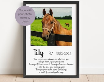 May include: A black framed print with a photo of a brown horse in a field. The print has the text "Tilly" with a heart symbol and the dates "1992-2022". The print also includes a poem about the horse.
