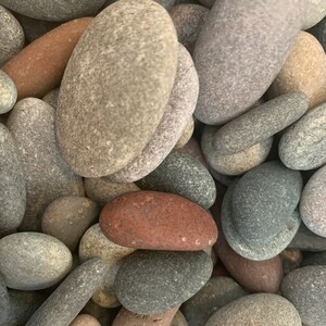 May include: A collection of smooth, oval-shaped stones in various shades of gray, brown, and red. The stones are arranged in a random pattern, creating a natural and textured background.