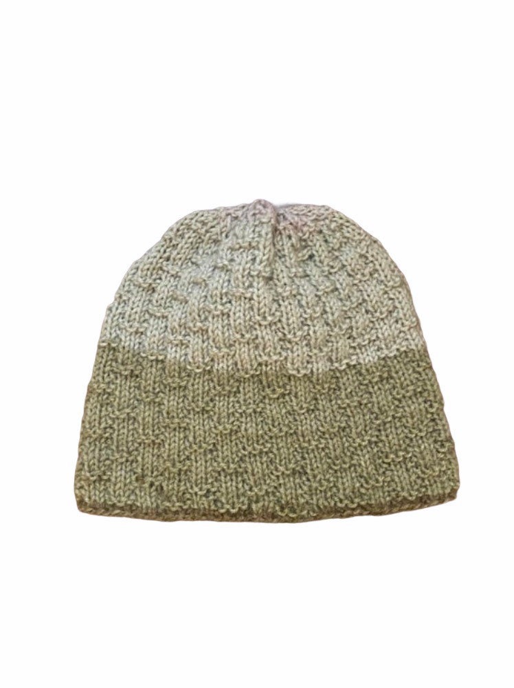 Bulbasaur Beanie WONT LAST LONG Etsy