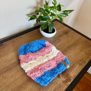 Trans Pride Flag Beanie