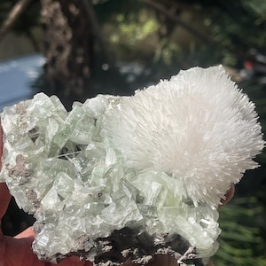 Mesolite flower on light green apophyllite